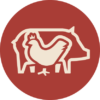 animal care animal care